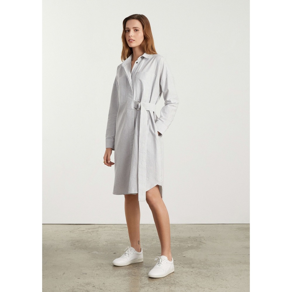 Everlane Oxford Shirtdress‎ Blue White Stripe Organic Cotton Belted Midi Dress